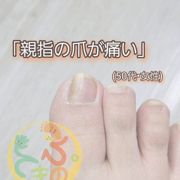 画像283