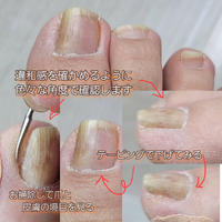 画像284