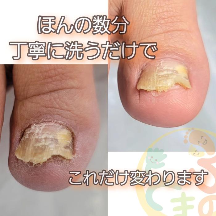 画像291